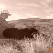 ���������� �����, ���� ������� �������, 36 ���, ������������ ��� ������