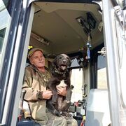 ���������� ���������, ���� ������� ����, 50 ���, ������������ 