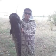 ���������� ���������, ���� ������� ������, 61 ���, ������������ ��� ����� � ���������, c�������� ���������