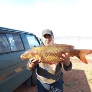  ,   , 54 ,   ,   , c 