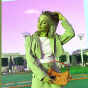 ���������� �����-���������, �����