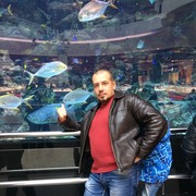 ���������� �������, ������� ����, 49