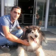 ���������� �������, ���� ������� Lego, 38 ���, ������������ ��� ������