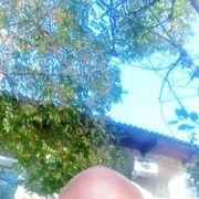 ���������� ����� �������, ������� �������, 53