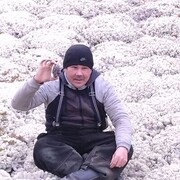 ���������� ���, ���� ������� �������, 46 ���, ������������ ��� c�������� ���������, ���������