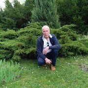 ���������� ���������, ������� ������, 65