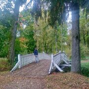 ���������� �����, ���� ������� ������, 41 ���, ������������ ��� ������, ����� � ���������