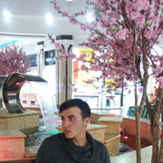 ���������� �����-���������, ���� ������� �����, 28 ���, ������������ ��� ������, ����� � ���������, c�������� ���������