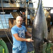 ���������� �����������, ���� ������� ���, 38 ���, ������������ ��� ������, ����� � ���������