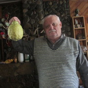  ,   Vitek, 76 ,   ,   , c 