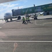 ���������� ������, ���� ������� ����, 33 ����, ������������ ��� ������, ����� � ���������, ���������