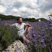 ���������� ���������, ���� ������� ����, 40 ���, ������������ ��� ������