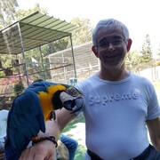 Ashqelon,   Oleg, 60 ,   ,   