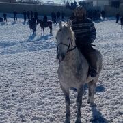 ���������� ��������, ���� ������� �����, 33 ����, ������������ ��� ������, ����� � ���������, c�������� ���������, ���������