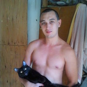 ���������� �������, ���� ������� �������, 38 ���, ������������ ��� ������, ����� � ���������, c�������� ���������