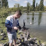 ���������� �����������, ���� ������� Nikita, 29 ���, ������������ ��� ������, ���������