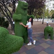 ���������� ��������, ���� ������� ANET, 40 ���, ������������ ��� ����� � ���������, c�������� ���������