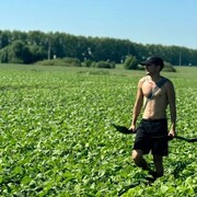 ���������� ������, ���� ������� �������, 29 ���, ������������ ��� ������, ����� � ���������, c�������� ���������