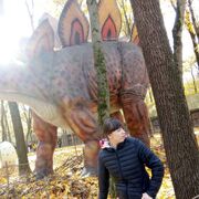 ���������� ��������, ����