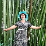  ,   , 61 ,  