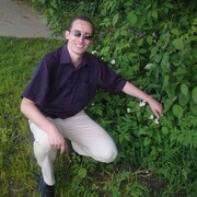 ���������� ������, ���� ������� �����, 44 ����, ������������ ��� ������, ����� � ���������, c�������� ���������