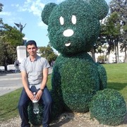 ���������� �������, ���� ������� ������, 36 ���, ������������ ��� ������, ����� � ���������, c�������� ���������