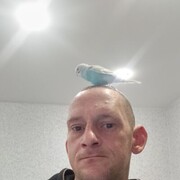  ,   , 41 ,   ,   , c , 
