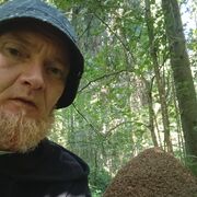 ���������� ������, ���� ������� ����, 44 ����, ������������ ��� ������