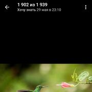  ,  Rasul, 30