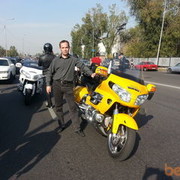 ���������� ������, ���� ������� �������, 40 ���, ������������ ��� ������, ����� � ���������, c�������� ���������