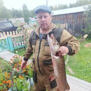 ���������� �����������, ���� ������� �������, 43 ����, ������������ ��� ������, ����� � ���������