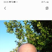 ���������� ������, ���� ������� ��������, 56 ���, ������������ ��� ������, ����� � ���������, c�������� ���������