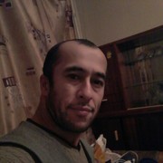  -,   , 41 ,   