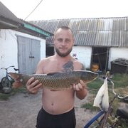  ,  , 32