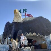 ���������� �������, ���� ������� ���������, 65 ���, ������������ ��� ����� � ���������