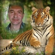  -,   , 51 ,   