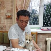 ���������� �������, ���� ������� �����, 41 ���, ������������ ��� ����� � ���������