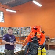 ���������� ��������, ���� ������� IGOR, 42 ����, ������������ ��� ������, ����� � ���������, c�������� ���������, ���������