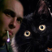 ���������� ����������, ���� ������� Art14, 40 ���, ������������ ��� ������