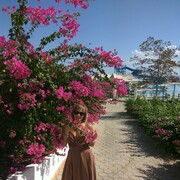 ����-���-���� --10.11.2020.