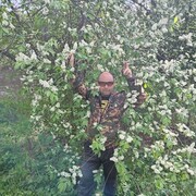 ���������� ����, ���� ������� ����, 51 ���, ������������ ��� ������, ���������