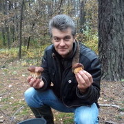 ���������� ����, ���� ������� ����, 47 ���, ������������ ��� ������, ���������