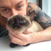 ���������� ���������, ���� ������� ����������, 32 ����, ������������ ��� ������, ����� � ���������, c�������� ���������