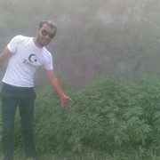  ,   Nurikemir, 41 ,   ,   , c 