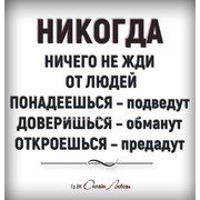 ���������� ����, ������� �������, 43