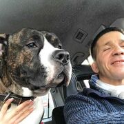 ���������� ���������, ���� ������� ������, 49 ���, ������������ ��� ����� � ���������, c�������� ���������