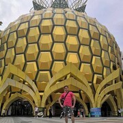 ���������� �����������, ���� ������� �����, 33 ����, ������������ ��� ����� � ���������, c�������� ���������, ���������