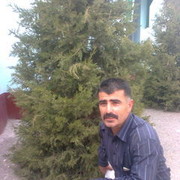  ,   ARGO, 60 ,     , c 