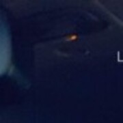 ���������� ������������, ���� ������� ����, 42 ����, ������������ ��� ������, ����� � ���������, c�������� ���������