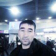  ,   , 41 ,   ,   
